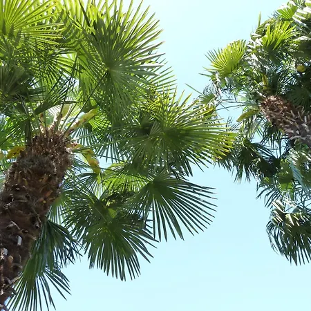 Hotel Osteria Ticino By Ketty & Tommy