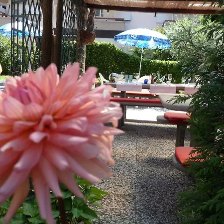 Osteria Ticino By Ketty & Tommy