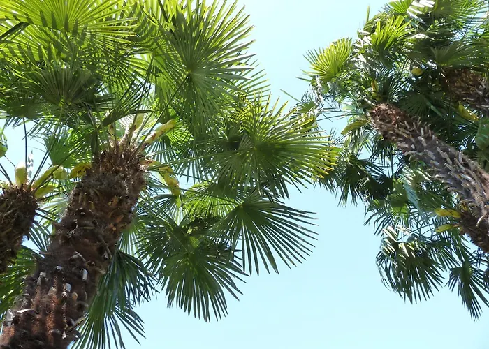 Hotell Osteria Ticino By Ketty & Tommy